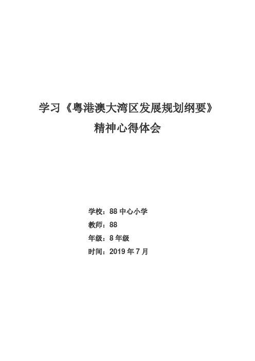 学习《粤港澳大湾区发展规划纲要》精神心得体会