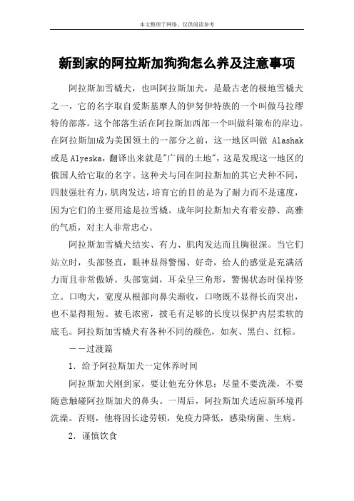 新到家的阿拉斯加狗狗怎么养及注意事项