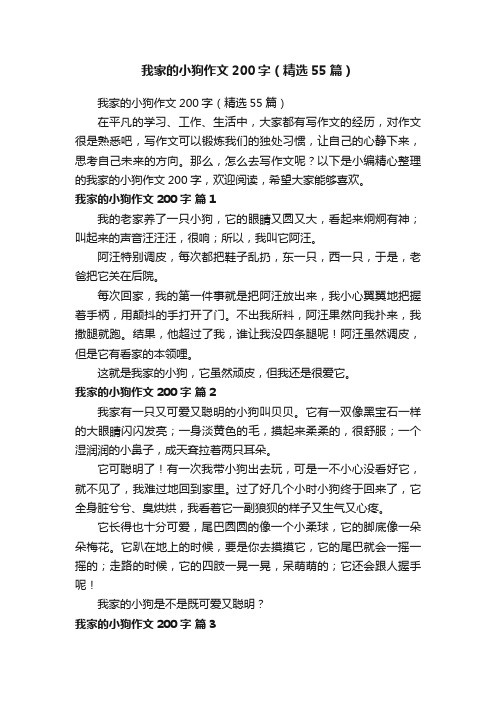 我家的小狗作文200字（精选55篇）