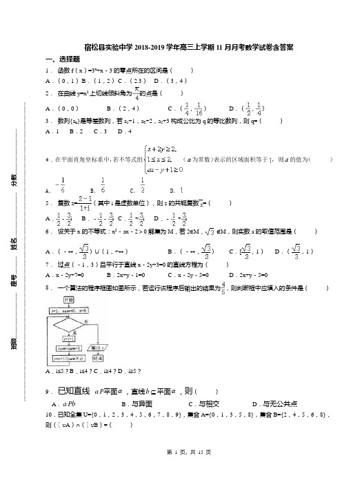 宿松县实验中学2018-2019学年高三上学期11月月考数学试卷含答案