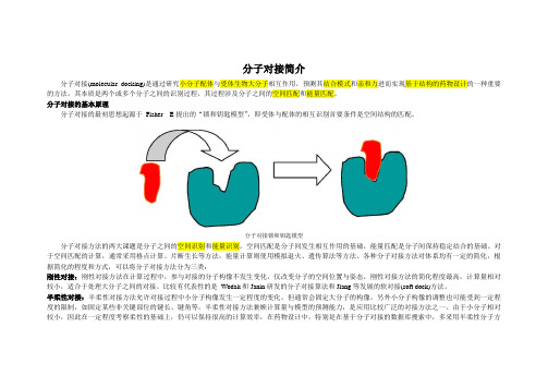 分子对接简要介绍