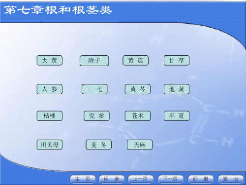 第七章根和根茎类生药4(麦冬天麻何首乌牛膝)