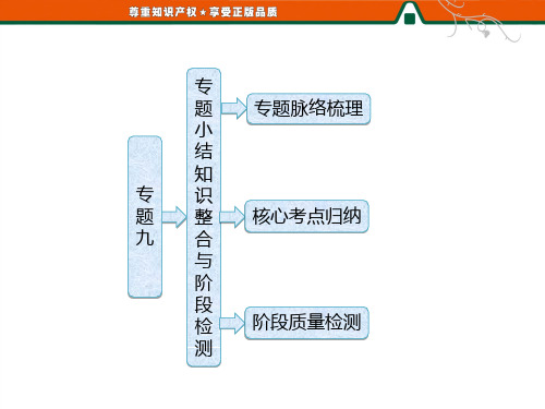 高二历史人民版选修1课件：专题九  专题小结  知识整合与阶段检测