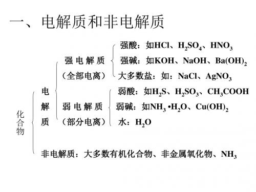 离子反应总复习