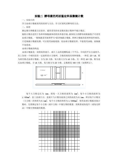 酵母菌死活鉴定和显微镜检测