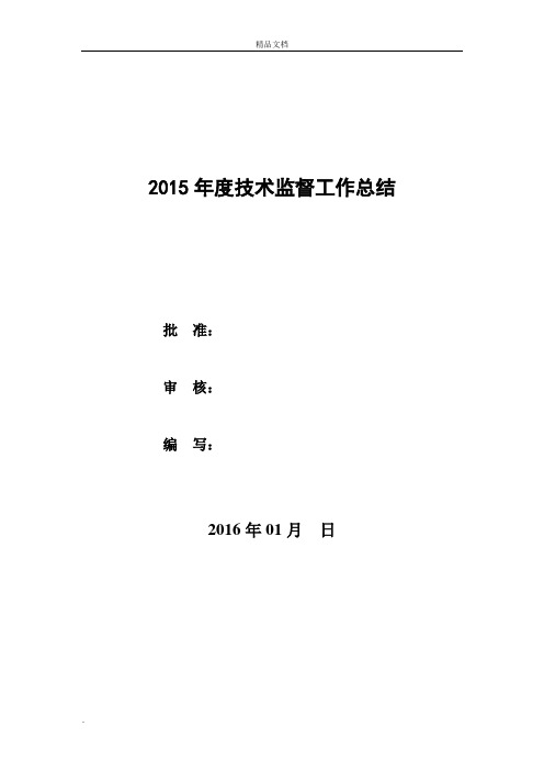 发电厂技术监督工作总结及年度工作计划