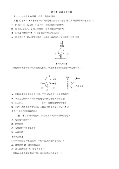 2023年广西百色中考生物一轮复习训练：第三单元叶的光合作用