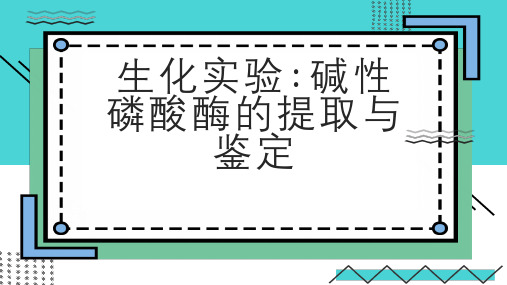 生化实验碱性磷酸酶的提取与鉴定