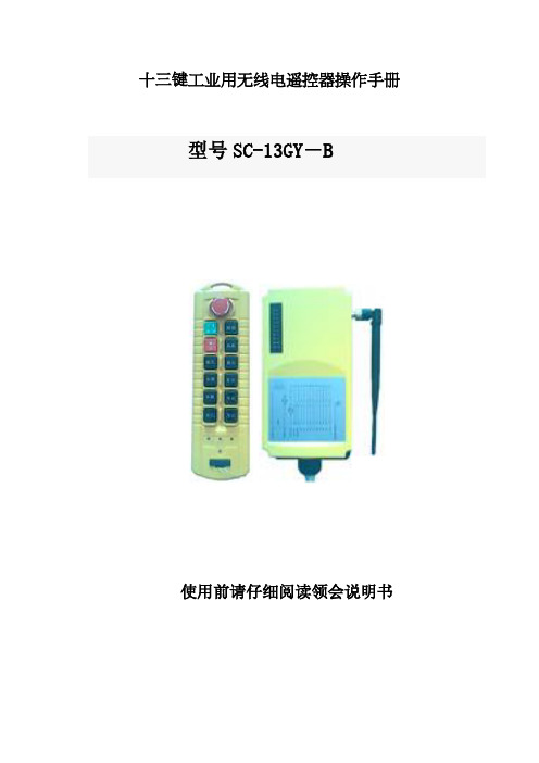 十二控制点工业用无线电遥控器操作手册-B