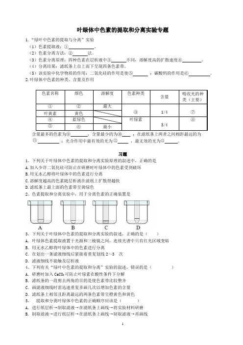 叶绿体中色素的提取和分离实验专题