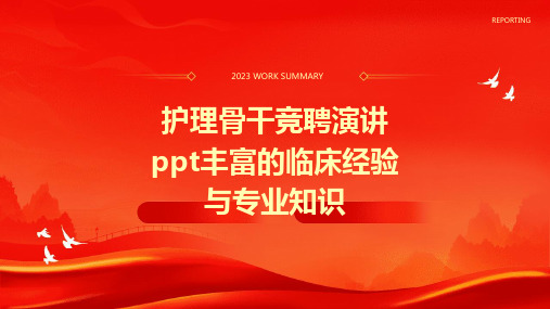 护理骨干竞聘演讲PPT丰富的临床经验与专业知识