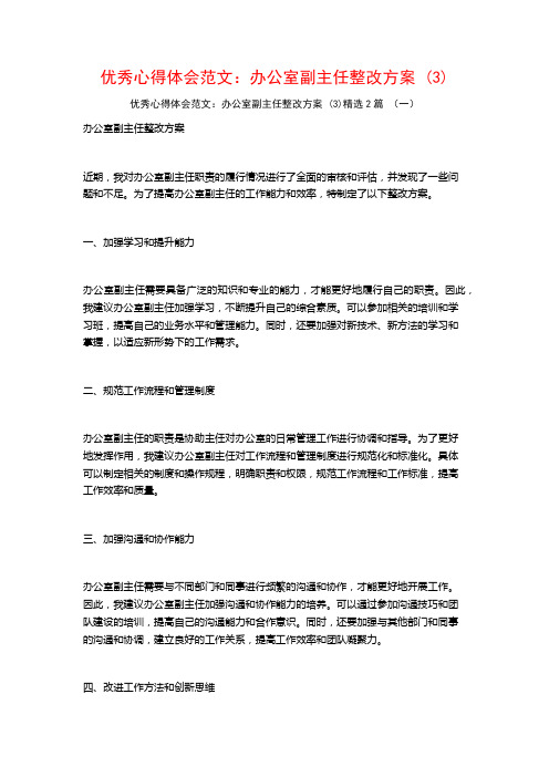 优秀心得体会范文：办公室副主任整改方案2篇