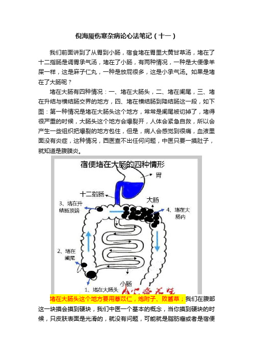 倪海厦伤寒杂病论心法笔记（十一）