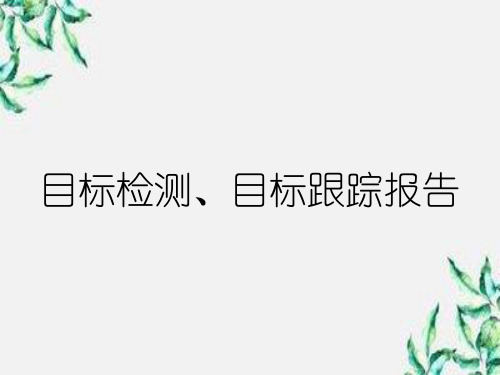 目标检测、目标跟踪报告