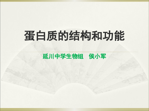 优质课高中生物必修一蛋白质的结构和功能第一课时课件 (共15张PPT)