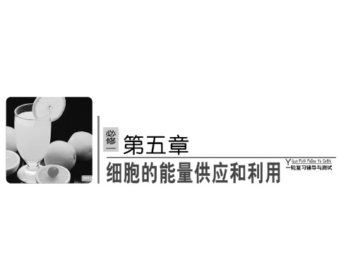 高考生物一轮复习课件必修一 第五章 细胞的能量供应和利用1.2