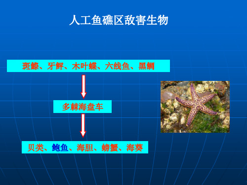 增殖工程与海洋牧场第九章 海洋牧场的含义和特征