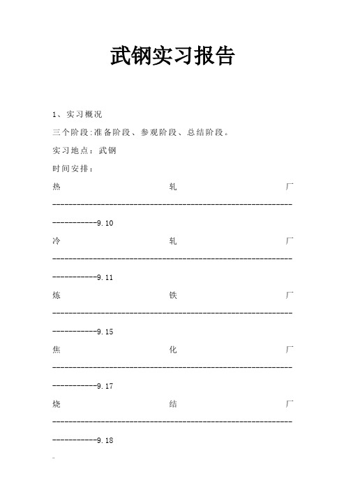 实习报告(武钢)