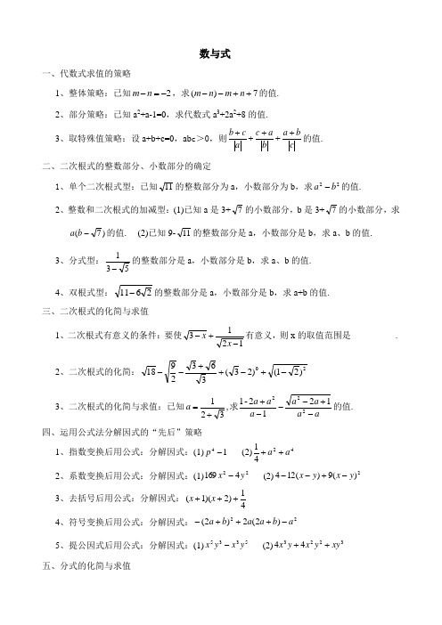 北师大版数学专题训练一  数与式