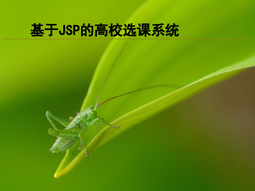 基于JSP高校选课系统毕业设计答辩