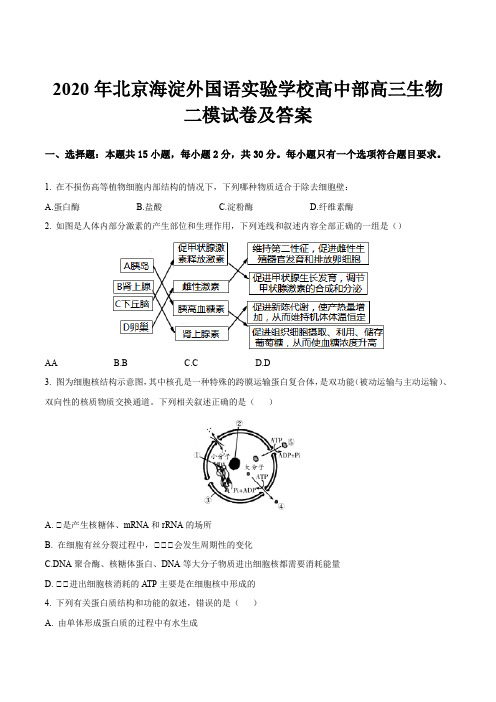 2020年北京海淀外国语实验学校高中部高三生物二模试卷及答案