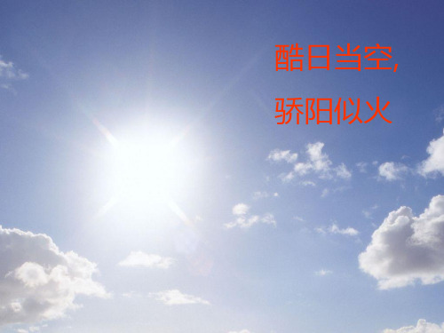 梁衡《夏感》ppt课件