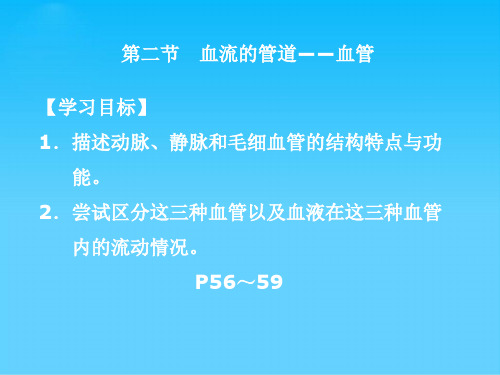 七年级生物下册 第四章 第二节 血流的管道─血管课件 新人教版