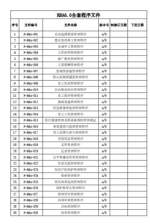 RBA6.0全套程序文件