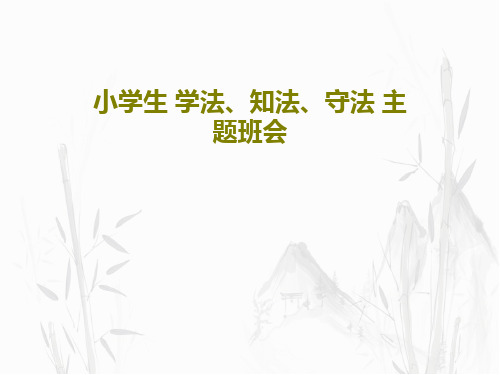 小学生 学法、知法、守法 主题班会28页PPT