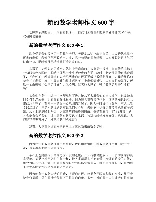 新的数学老师作文600字