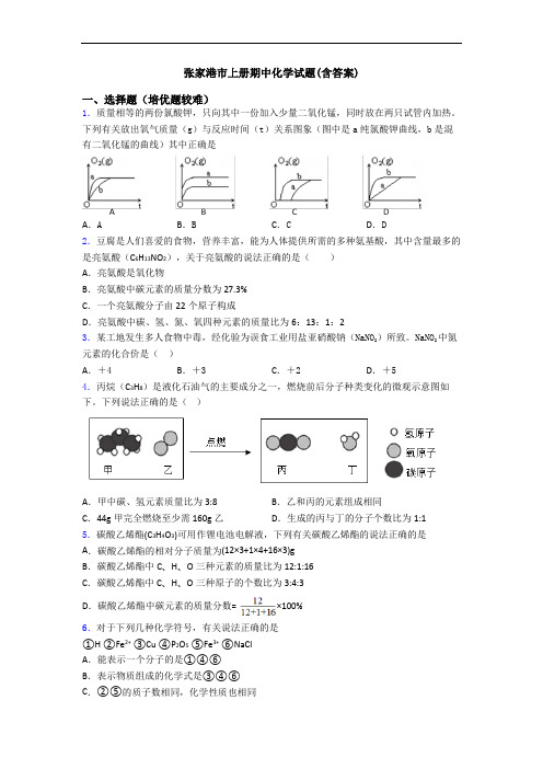 张家港市上册期中初三化学试题(含答案)