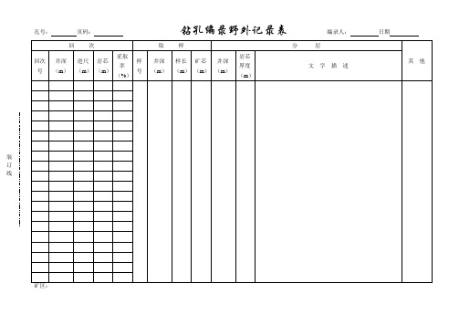 钻孔编录野外记录表