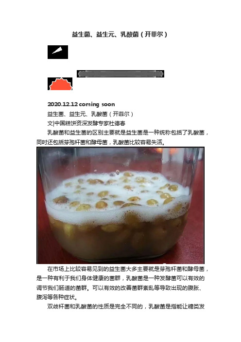 益生菌、益生元、乳酸菌（开菲尔）