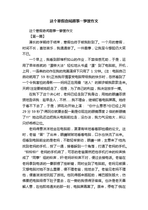 这个寒假奇闻趣事一箩筐作文