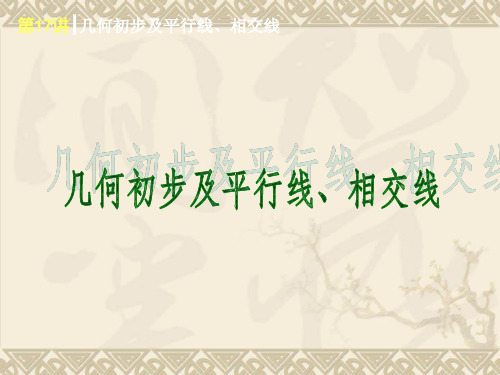 中考复习之几何初步及平行线、相交线