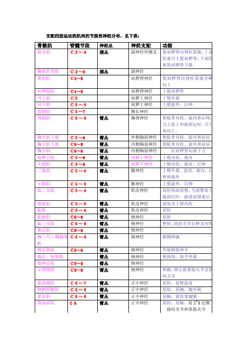 四肢肌肉神经支配