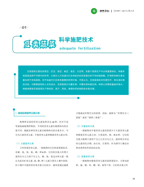 豆类蔬菜科学施肥技术