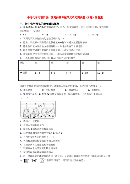 中考化学专项训练:常见的酸和碱单元单元测试题(A卷)附答案