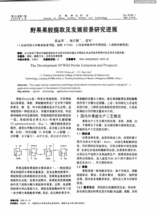 野果果胶提取及发展前景研究进展