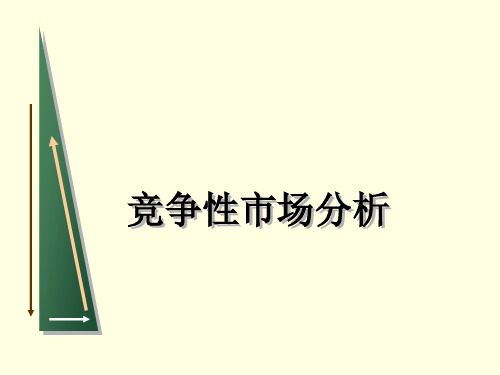 竞争性市场分析