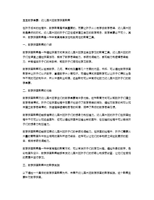 宝宝数学启蒙：幼儿园大班数学拼图教案