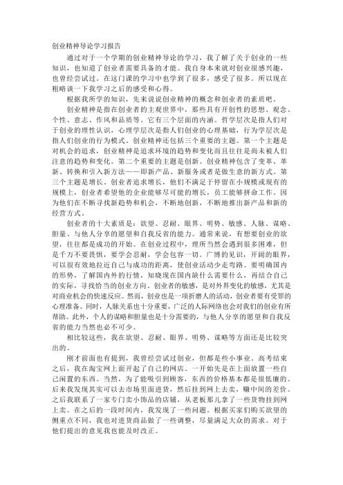 创业精神导论学习报告