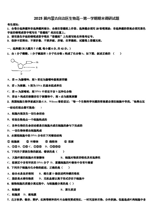 2025届内蒙古自治区生物高一第一学期期末调研试题含解析