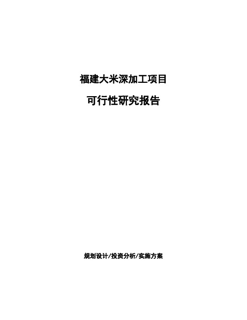 福建大米深加工项目可行性研究报告