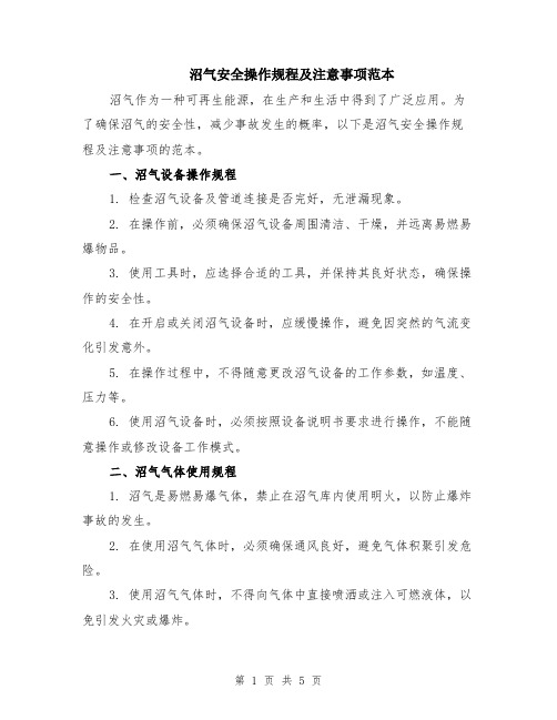 沼气安全操作规程及注意事项范本（2篇）