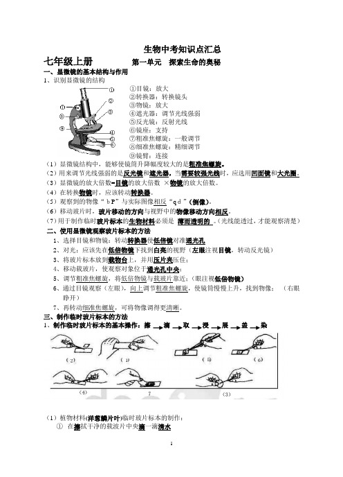 生物中考四本书知识点归纳(人教版)