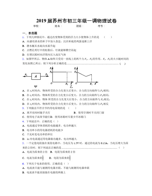 2019届苏州市初三年级一调物理试卷