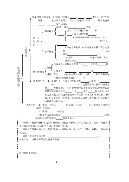 果实和种子的形成