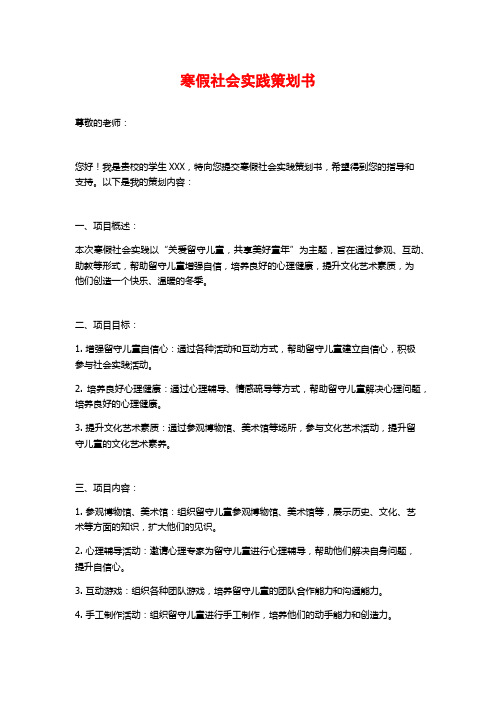 寒假社会实践策划书 (3)