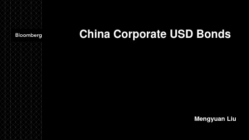 BBG - China Corporate Bond USD (中资美元债彭博)